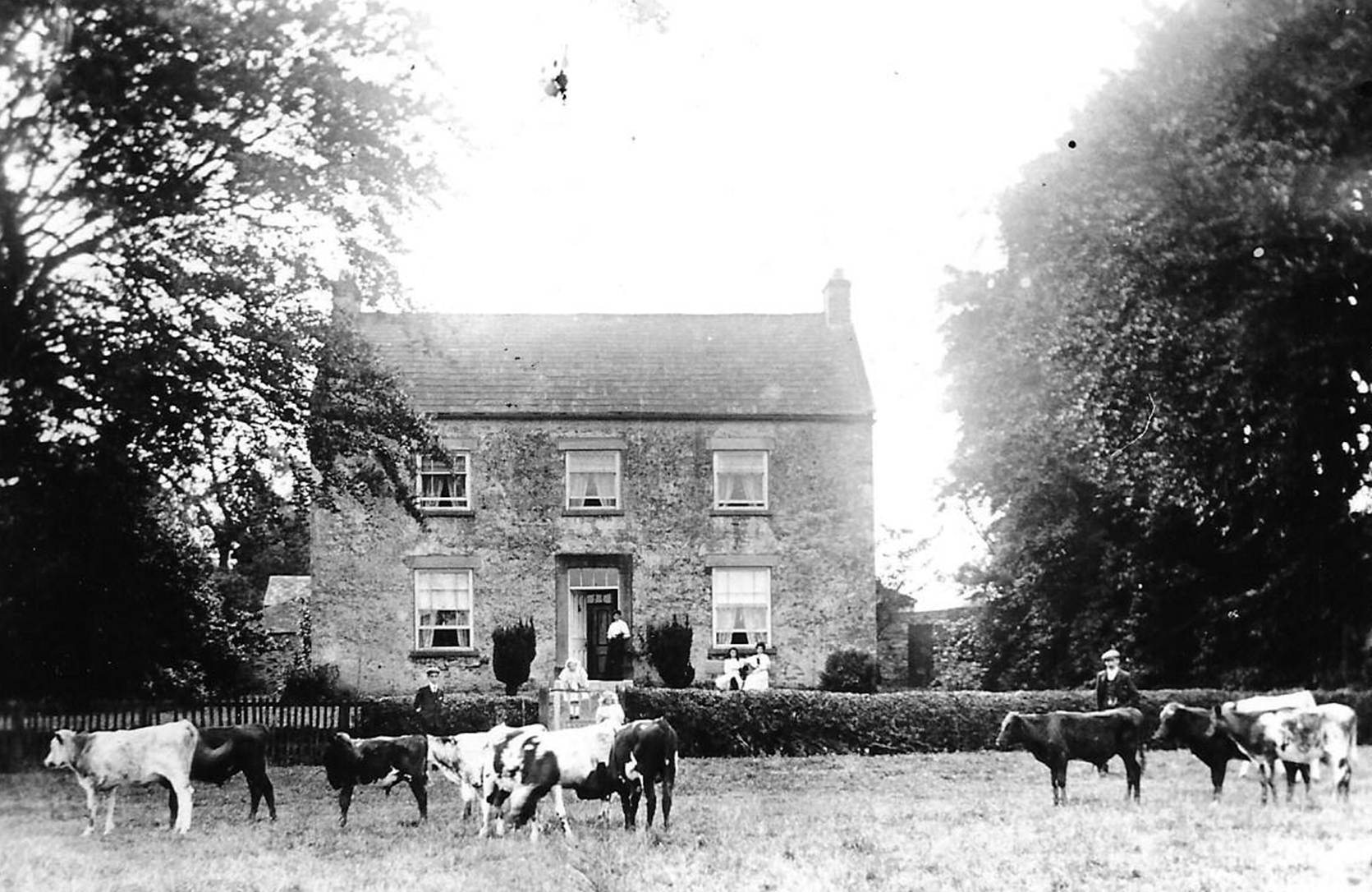 A house with cows in the background

AI-generated content may be incorrect.
